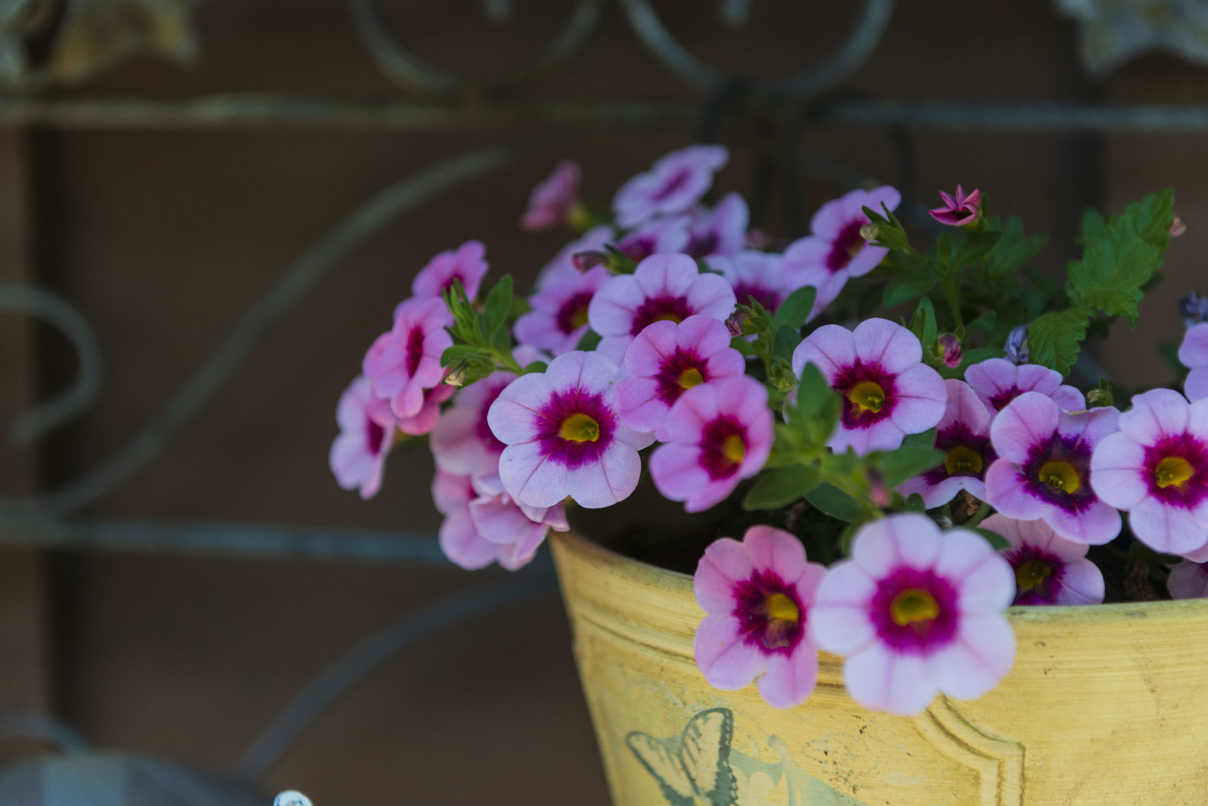 2019 Garden Tour